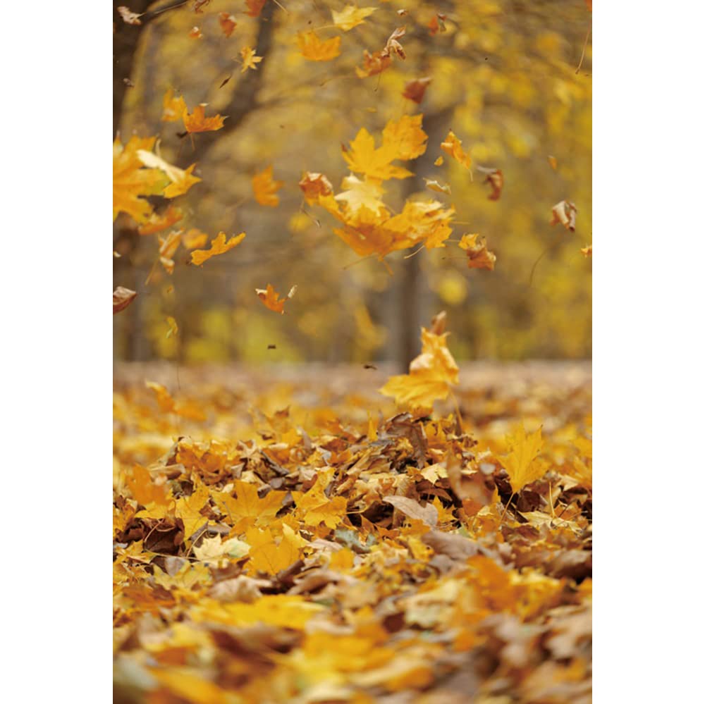 Amazon.co.jp: 背景布 落葉 秋の背景 黄葉 1.2x1.8m 壁の飾り 記念写真